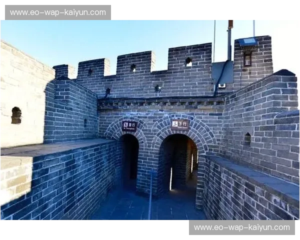 巨龙腾云，鲲鹏展翅——中南大学与北京大学的学术巅峰对话